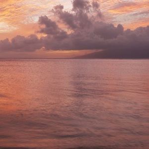 Meet your Posher, Lexi